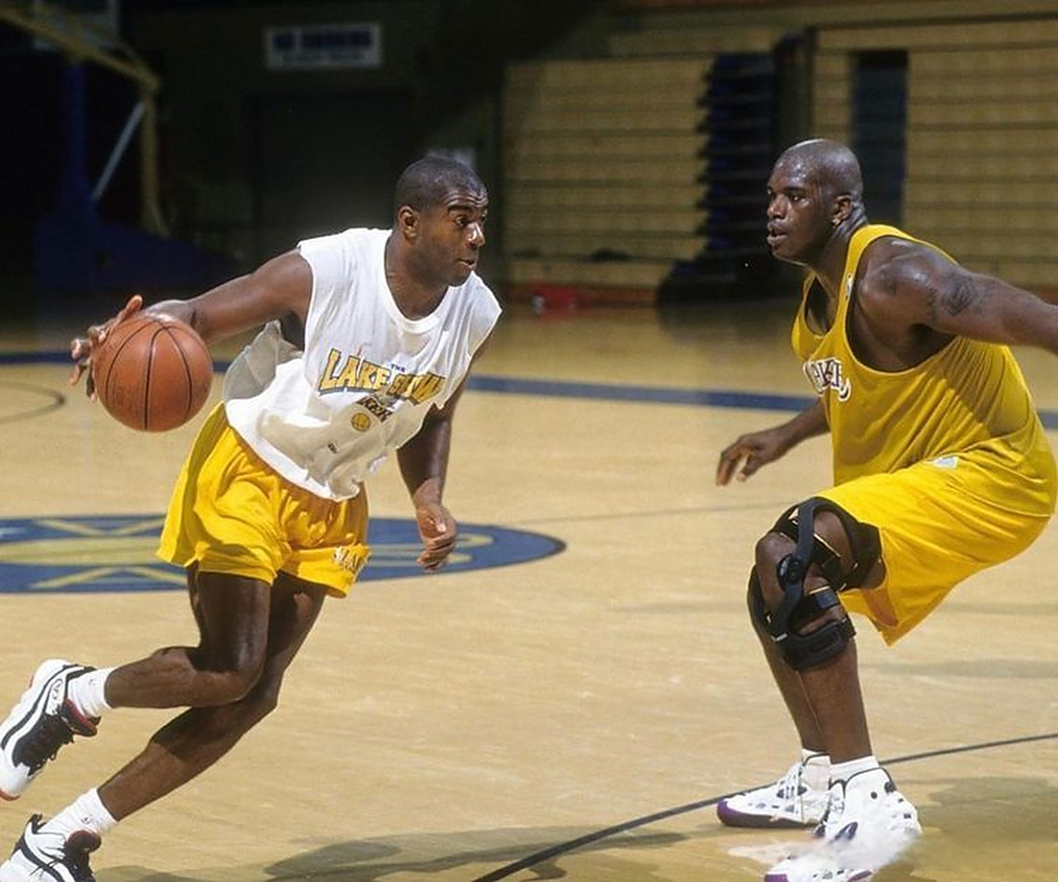 不仅展现了 不仅展现了