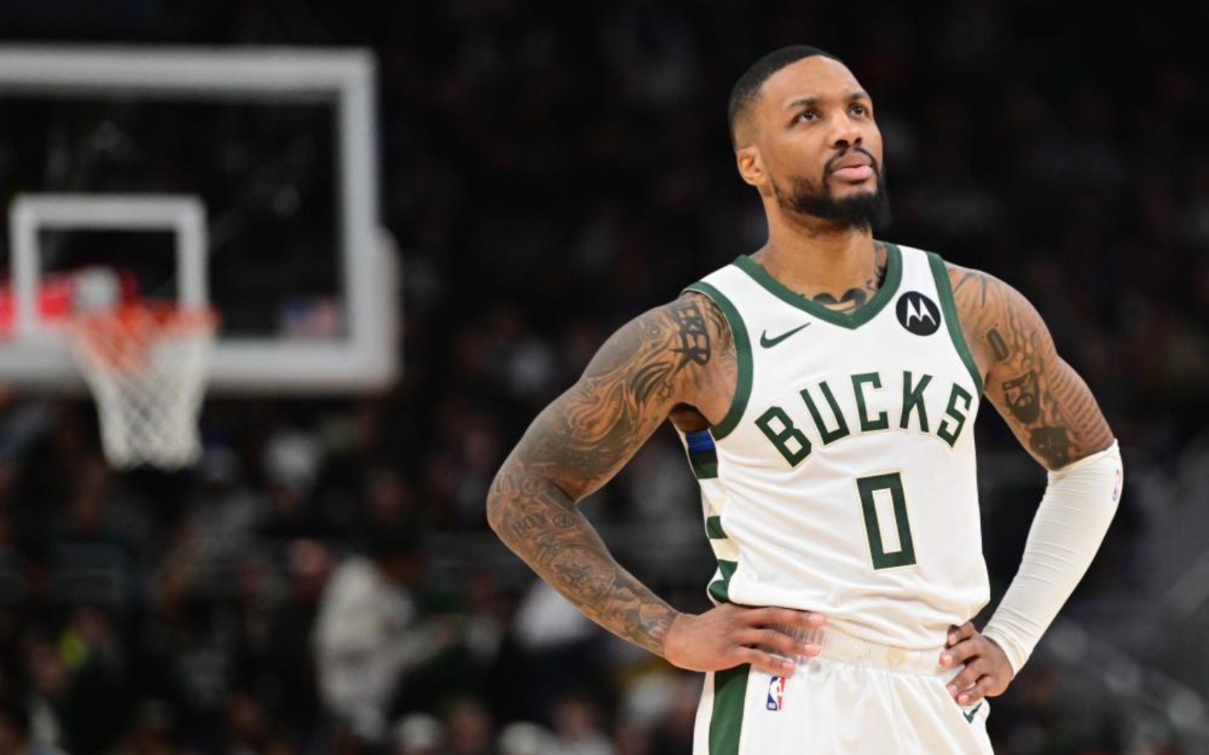 放大了微观 放大了微观